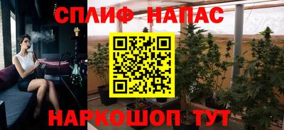 сатива Моздок