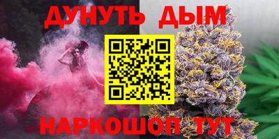 сатива Моздок